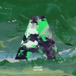 cover: Wailey - Nature