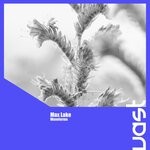 cover: Max Lake - Waveforms