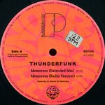 cover: Thunderfunk - Memoreez