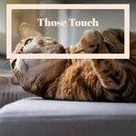 cover: Diko Huei - Those Touch