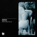 cover: Sidekick - Deep Fear (Micha Moor Remix)