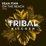 cover: Sean Finn - On The Beach (Radio Edit)