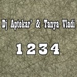 cover: Dj Aptekar'|Tanya Vladi - 1234