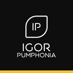 cover: Igor Pumphonia - Twilight (Disco Version)