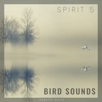 cover: Spirit 5 - Bird Sounds