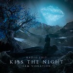 cover: Sam Vibration - Kiss The Night (Radio Edit)