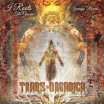 cover: I Roots - The Groove (Trans-Organica)