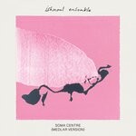 cover: Ishmael Ensemble - Soma Centre (Medlar Version)