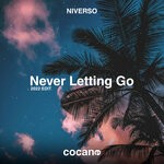 cover: Niverso - Never Letting Go (2022 Edit)