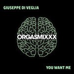 cover: Giuseppe Di Veglia - You Want Me