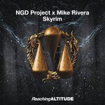 cover: Ngd Project|Mike Rivera - Skyrim