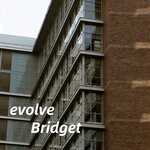 cover: Bridget - Evolve