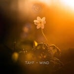 cover: Tayf|Utku Benli - Wind