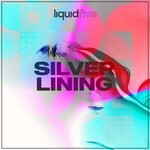 cover: Liquidfive - Silver Lining