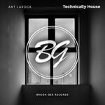 cover: Ant Larock - Technically House