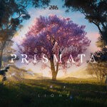 cover: Bear Grillz - Prismata (Light)