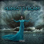 cover: Needle'x - Perfect Strorm