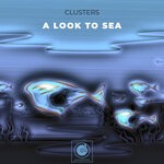 cover: Clusters - A Look To Sea