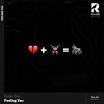 cover: Sinan Onu - Feeling You