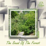 cover: Vadim Vok - The Sound Of The Forest