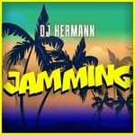 cover: Dj Hermann - Jamming