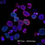 cover: Dmp Tunes - Biotechnology