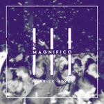 cover: Dj Erick Neves - Magnifico