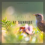 cover: Spirit 5 - At Sunrise