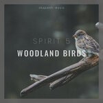 cover: Spirit 5 - Woodland Birds