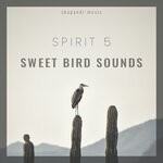 cover: Spirit 5 - Sweet Bird Sounds