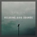 cover: Spirit 5 - Relaxing Bird Sounds