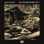 cover: Various - Real Soundz Records Vol 3