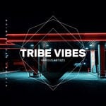 cover: Freezeout|House Anatomy|Miami Shakers|Steph Tables - Tribe Vibes