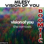 cover: Milesy - Vision Of You