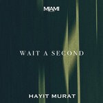 cover: Hayit Murat - Wait A Second