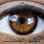 cover: Aleksandr Kashnikov - True