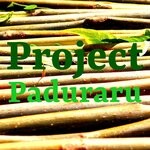 cover: Paduraru - Project (Festival Music)