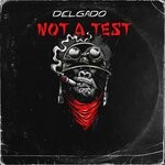 cover: Delgado - Not A Test