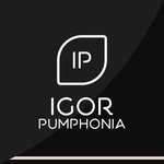 cover: Igor Pumphonia - Doing It Right