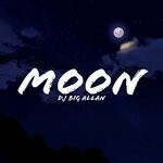 cover: Dj Big Allan - Moon