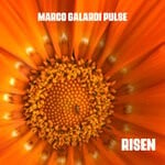 cover: Marco Galardi Pulse - Risen