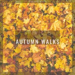 cover: Spirit 5 - Autumn Walks