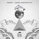 cover: Saldan - Caotic Enviroment