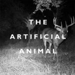 cover: Broken English Club - The Artificial Animal