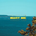 cover: Will Ryte - Want Me