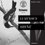 cover: Sleepy & Boo - Luminous Shine