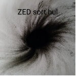 cover: Zen Eskimoens Delirium - Sort Hul