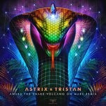 cover: Astrix|Tristan - Awake The Snake (Volcano On Mars Remix)