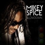 cover: Mikey Spice - Slow Down