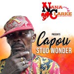 cover: Stud Wonder - Capou